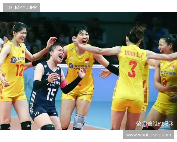 北京排球队的拼搏之路与冠军赛荣耀背后的故事