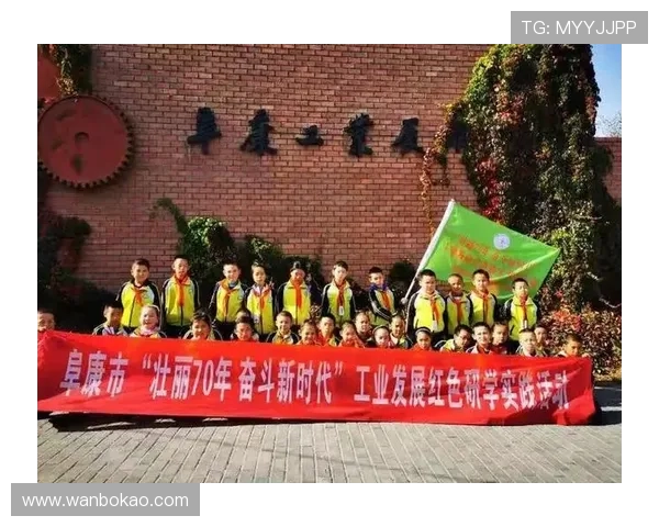 北京排球队逆袭之旅挑战赛特别报道展现团队精神与拼搏意志