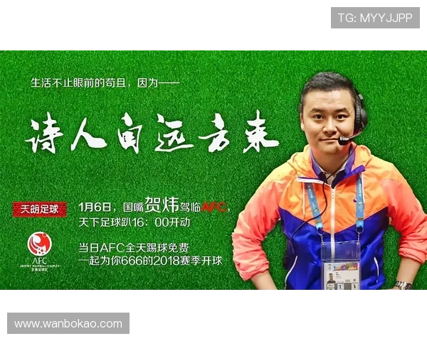 足球明星贺炜的个人简历与精彩瞬间全记录