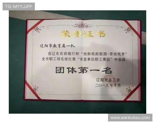 南京羽毛球队意识排行榜第十名展现团队实力与潜力