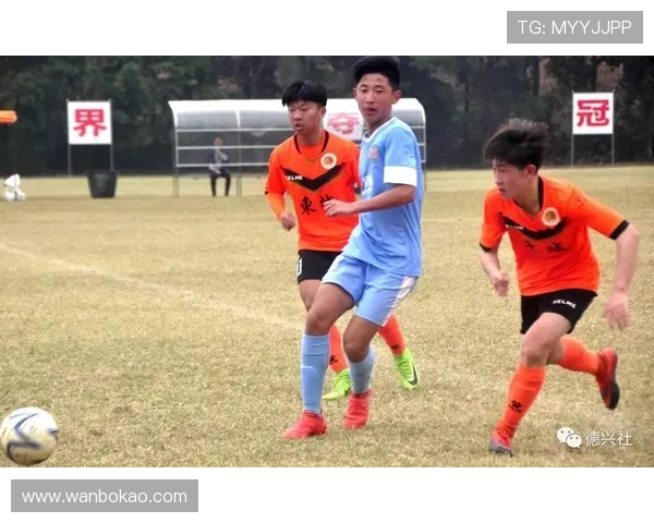 全国锦标赛分析：杭州篮球队在比赛中的战术意识与团队配合表现评析